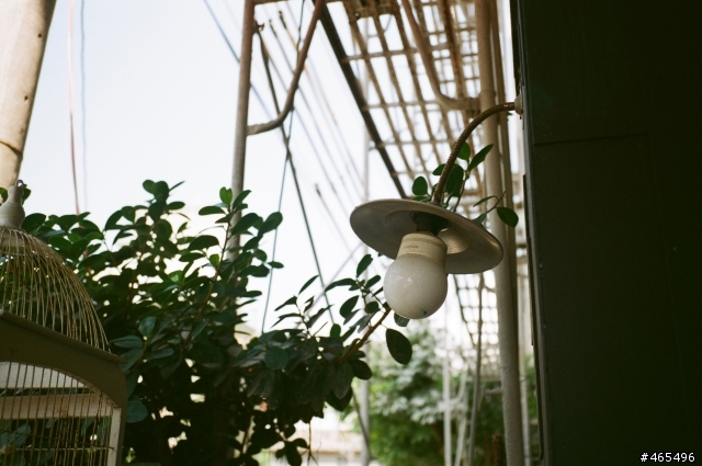 請問哪裡買的到適用Contax T3的遮光罩