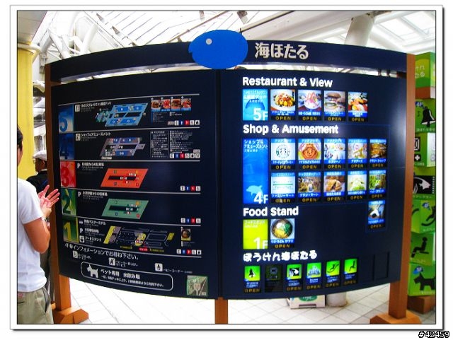 [SKYWAVE TYPE-S]東京灣AQUA-LINE