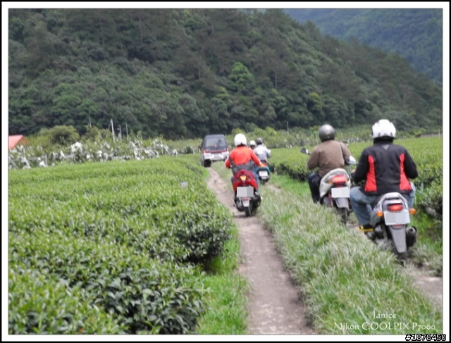 【０９０３ 力行-紅香 坎坷跑跑團】之路況好威猛