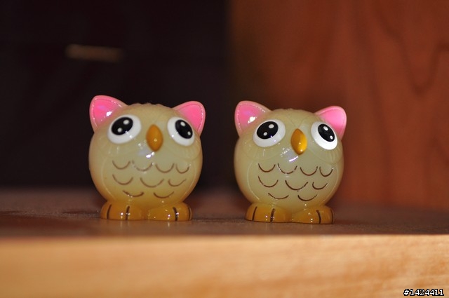 貓頭鷹OWL 別館