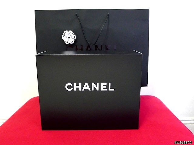 終於找到雙C CHANEL 格紋 大大的 相機包 了！！