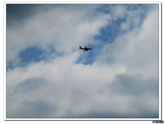 [SKYWAVE TYPE-S]東京灣AQUA-LINE