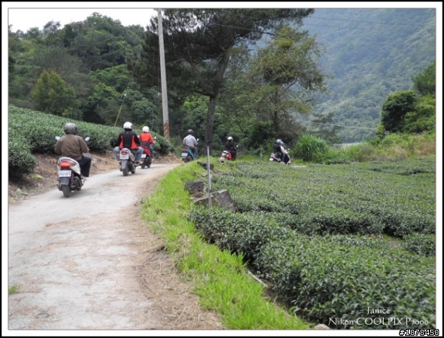 【０９０３ 力行-紅香 坎坷跑跑團】之路況好威猛