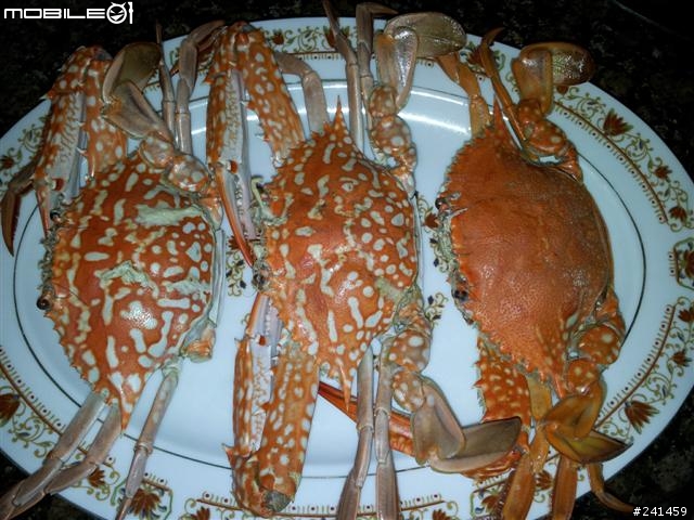 明蝦螃蟹當中餐啦