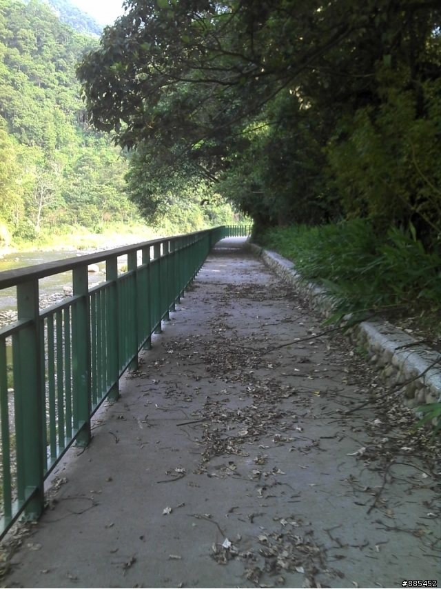 [ 分享 ] 坪林區大林里自行車步道 { 圖很多 } 加上敘述。