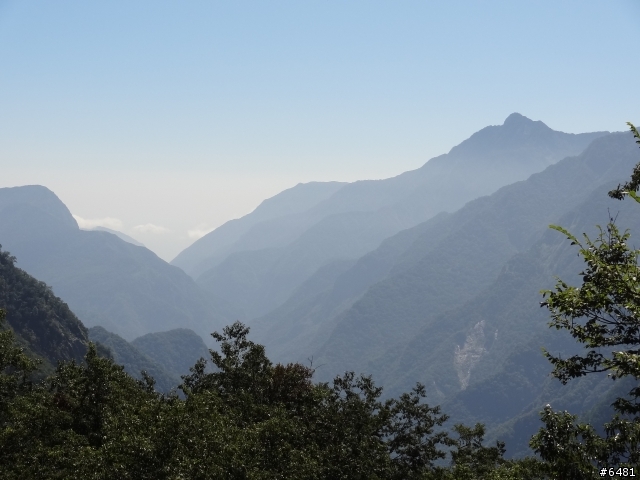 花東+合歡山之旅