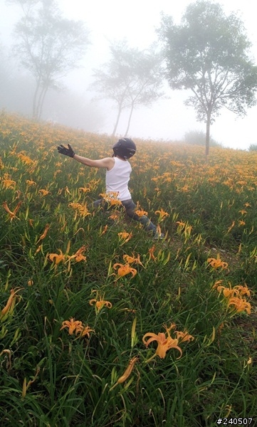 讓青春甩尾吧！七天六夜環島神奇之旅 Day 4 –在雲海中遇見花海！