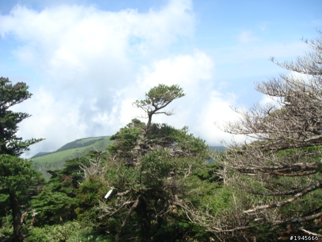 悠遊甲片 武嶺