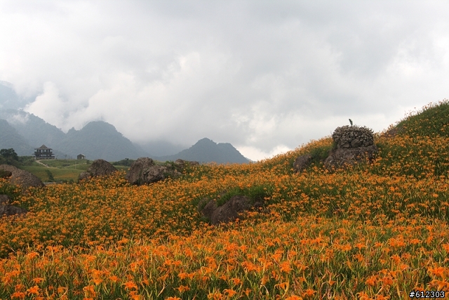 9月3~4日-六十石山拍金針