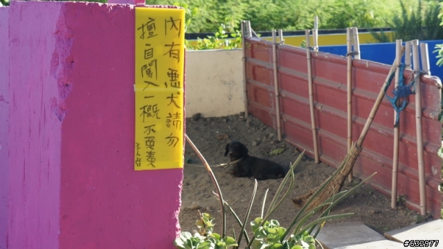 五個大男孩，想用環島來找回失去的青春熱情和感動