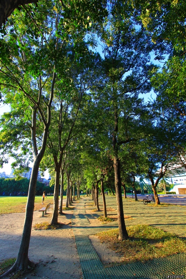 新莊之美-新莊運動公園