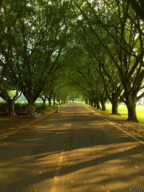 RAY_ 合歡山早晨 & 隨手拍