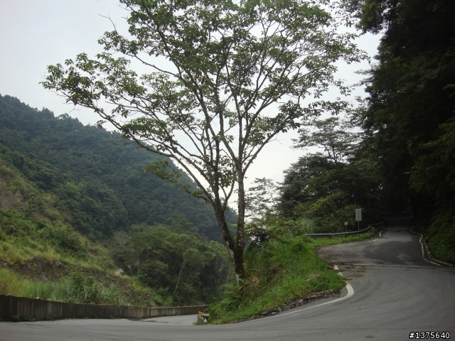 【開箱文】熱血硬漢之苗栗 → 竹東 → 觀霧 / 樂山.......男子漢自由行