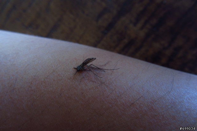 100.09.08決戰~抖抖抖抖抖的司馬庫斯