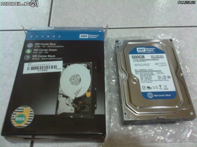 大學新生的低調文書、電玩 小鋼炮