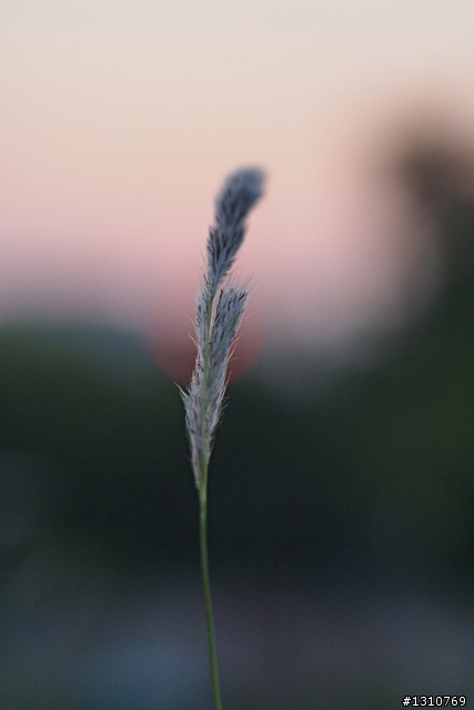 Olympus M.Zukio 45mm 1.8蓋大樓囉