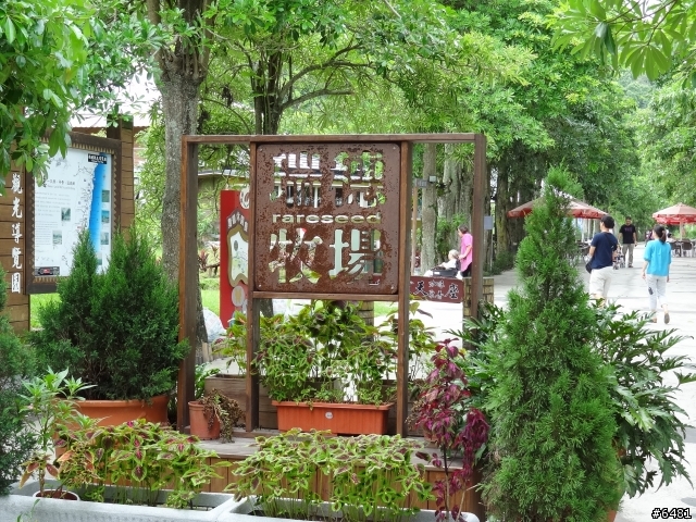 花東+合歡山之旅