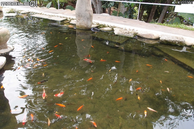 (景點) 南投  猴探井-星月天空景觀餐廳