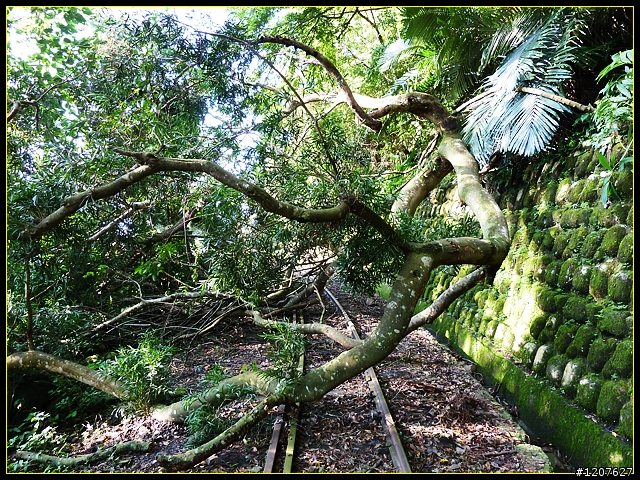 2011.09.11_再入獨立山鐵路隧道，驚見......
