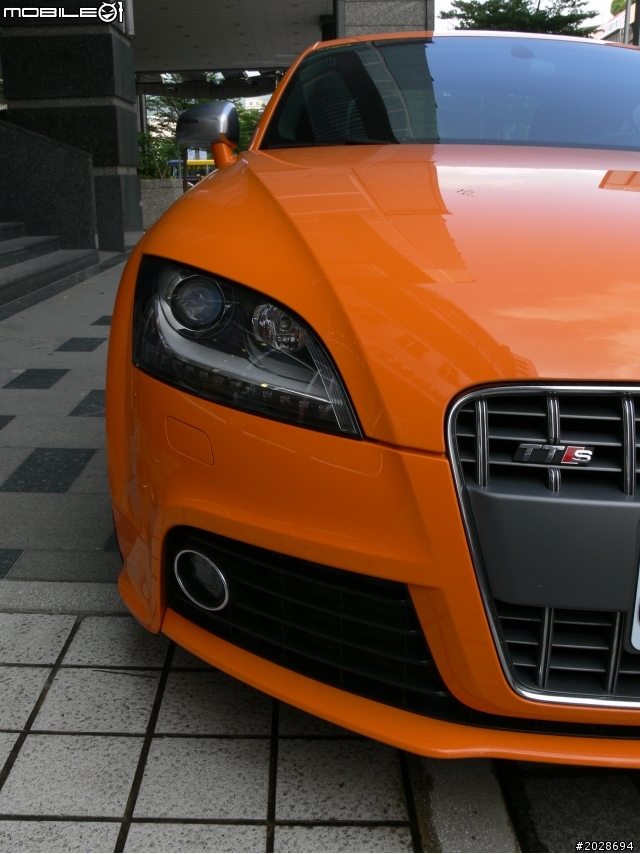 TTS & RS6 Avant