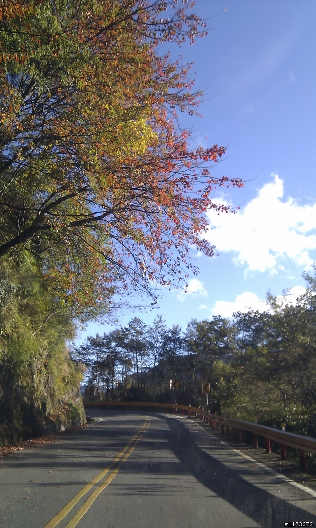 俺家小飛(SYLPHY)換米其林SAVER輪胎