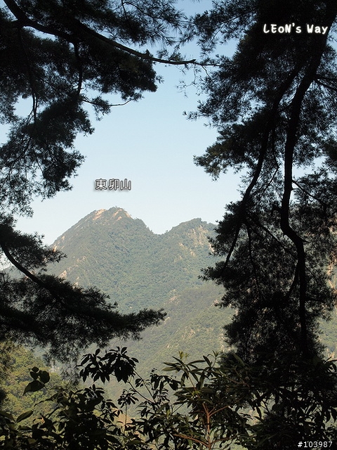 【分享】谷關七雄-馬崙山