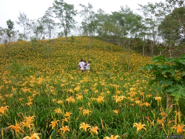 日昇之鄉，忘憂之旅