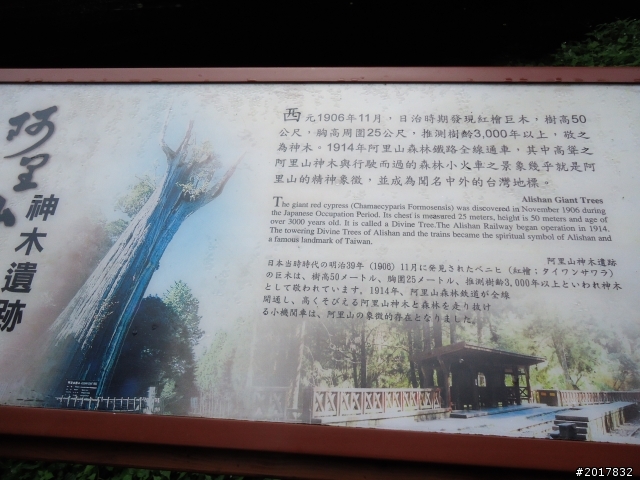 10/23-10/24阿里山之戀(龍銀山步道-祝山日出-對高岳步道)