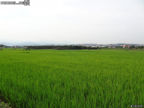 [新竹][單車遊記]2011 09芎林單車遊