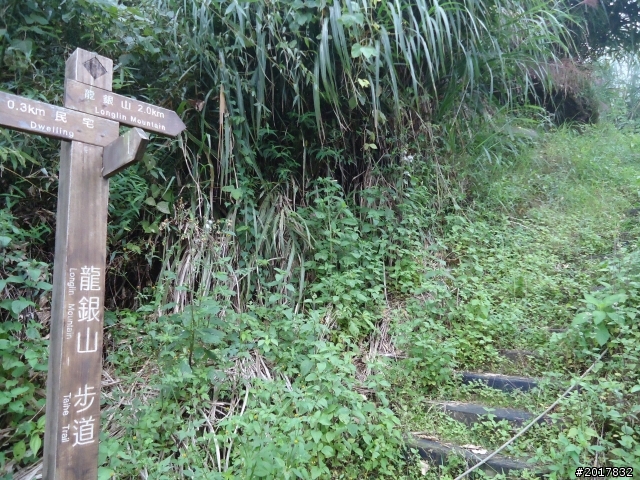 10/23-10/24阿里山之戀(龍銀山步道-祝山日出-對高岳步道)