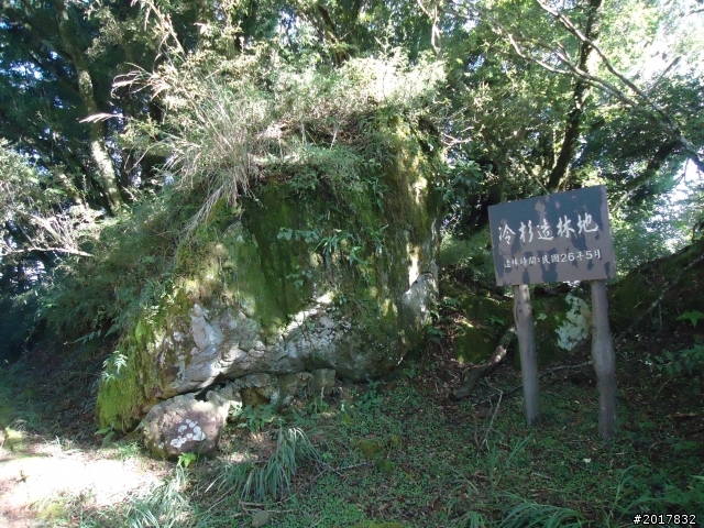 10/23-10/24阿里山之戀(龍銀山步道-祝山日出-對高岳步道)