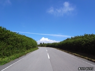 熱血...充滿回憶之日本機車旅行