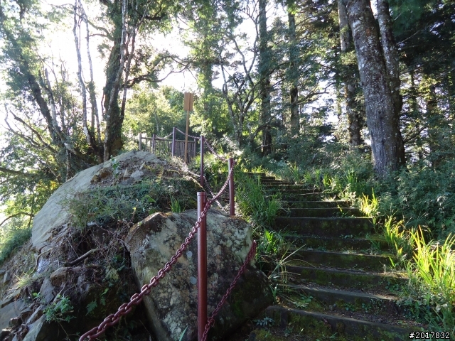 10/23-10/24阿里山之戀(龍銀山步道-祝山日出-對高岳步道)