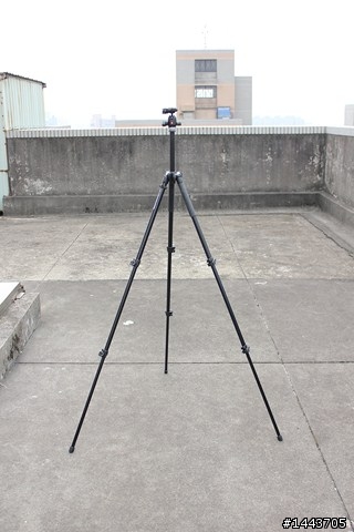 【分享】Manfrotto MK293A3 + 494RC2 雲台，簡單實用的腳架
