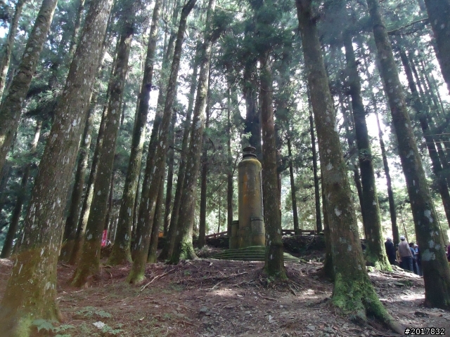 10/23-10/24阿里山之戀(龍銀山步道-祝山日出-對高岳步道)
