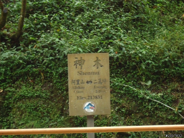 10/23-10/24阿里山之戀(龍銀山步道-祝山日出-對高岳步道)
