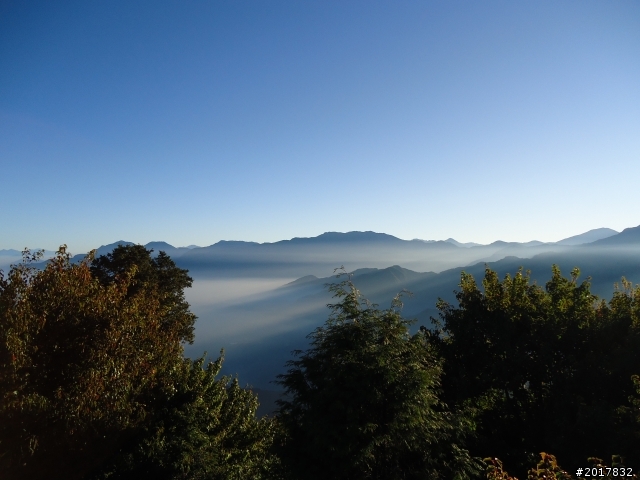 10/23-10/24阿里山之戀(龍銀山步道-祝山日出-對高岳步道)