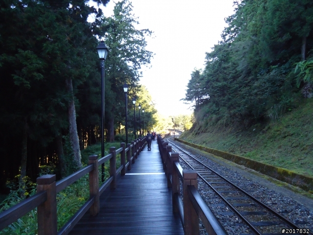 10/23-10/24阿里山之戀(龍銀山步道-祝山日出-對高岳步道)