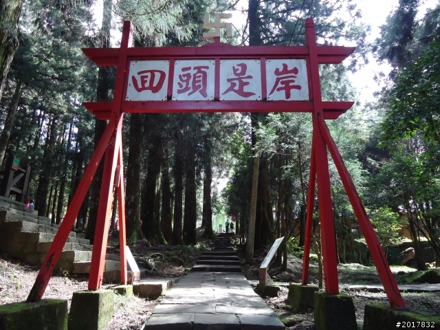 10/23-10/24阿里山之戀(龍銀山步道-祝山日出-對高岳步道)