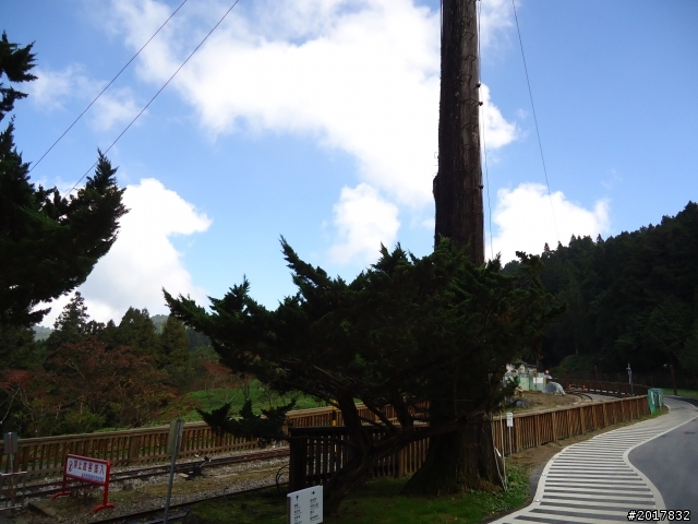 10/23-10/24阿里山之戀(龍銀山步道-祝山日出-對高岳步道)