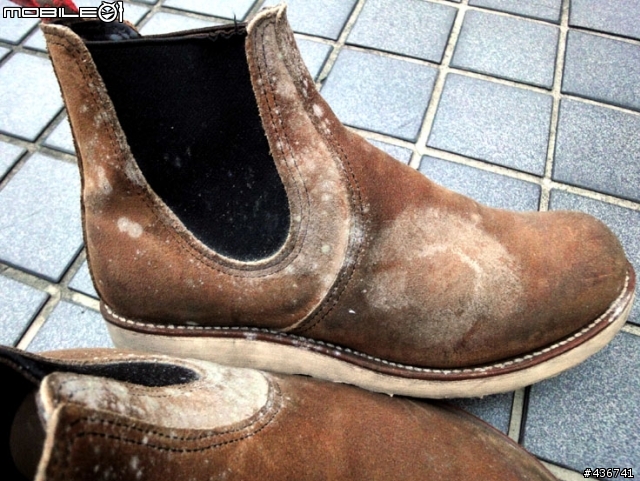 [恐怖慎入] 搶救 Redwing 發霉大作戰