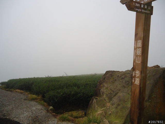 10/23-10/24阿里山之戀(龍銀山步道-祝山日出-對高岳步道)
