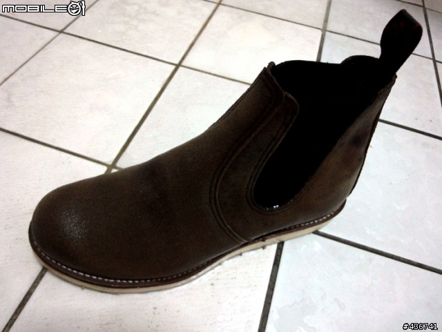 [恐怖慎入] 搶救 Redwing 發霉大作戰