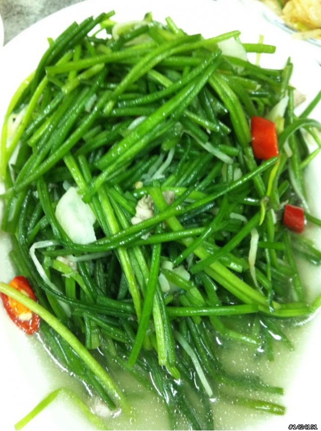 新埔-日昇飲食店
