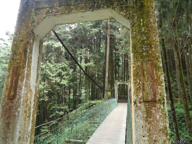 10/23-10/24阿里山之戀(龍銀山步道-祝山日出-對高岳步道)