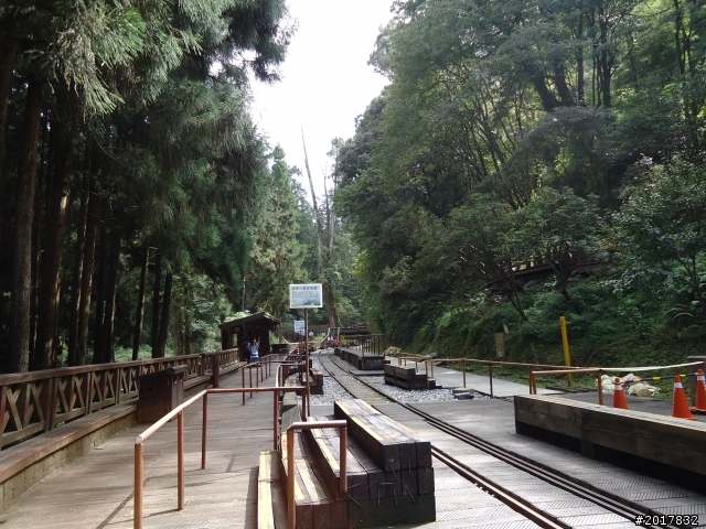 10/23-10/24阿里山之戀(龍銀山步道-祝山日出-對高岳步道)