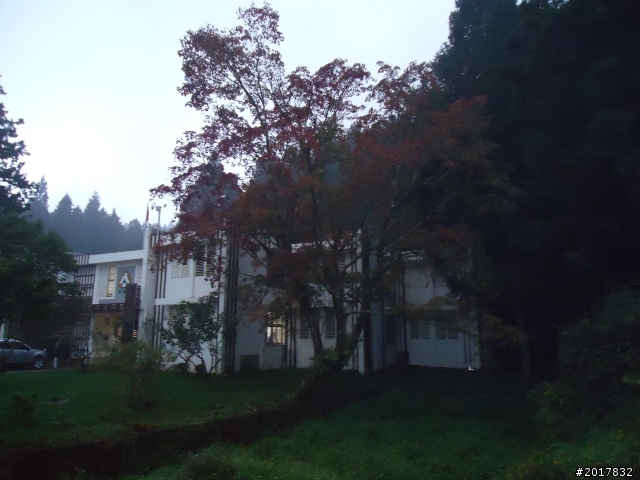 10/23-10/24阿里山之戀(龍銀山步道-祝山日出-對高岳步道)