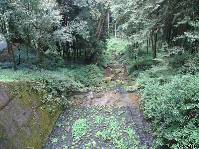 10/23-10/24阿里山之戀(龍銀山步道-祝山日出-對高岳步道)