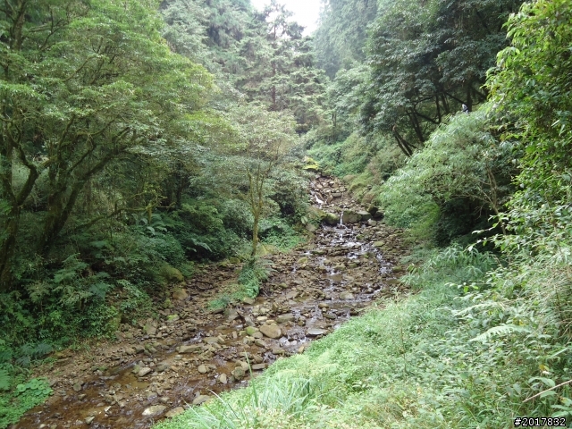 10/23-10/24阿里山之戀(龍銀山步道-祝山日出-對高岳步道)