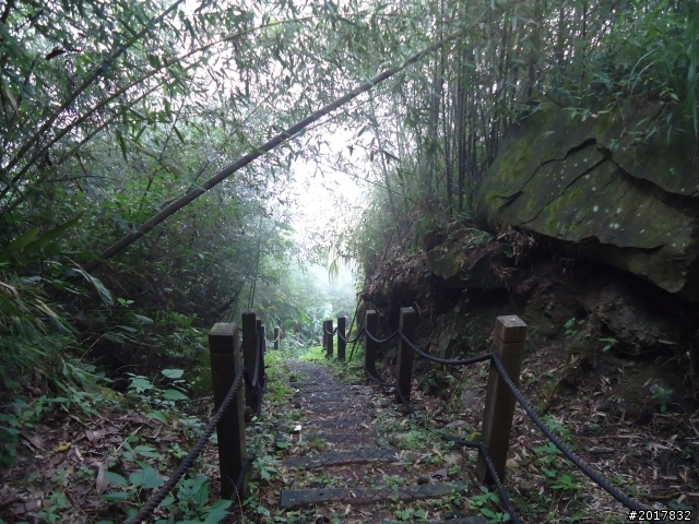 10/23-10/24阿里山之戀(龍銀山步道-祝山日出-對高岳步道)